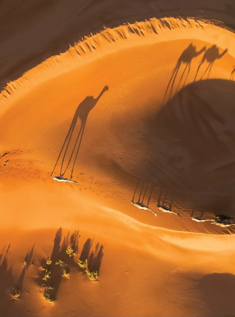 Instagram Contest 2022 December